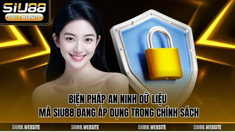 Biện pháp an ninh dữ liệu mà SIU88 đang áp dụng trong chính sách