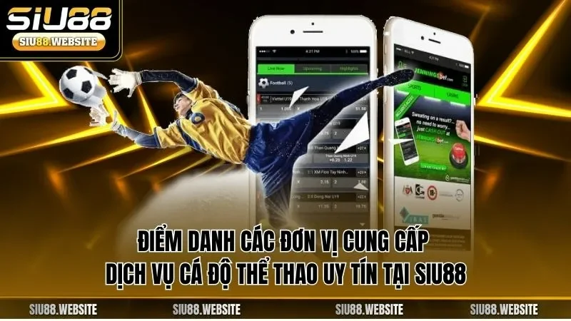 Điểm danh các đơn vị cung cấp dịch vụ cá độ thể thao uy tín tại SIU88
